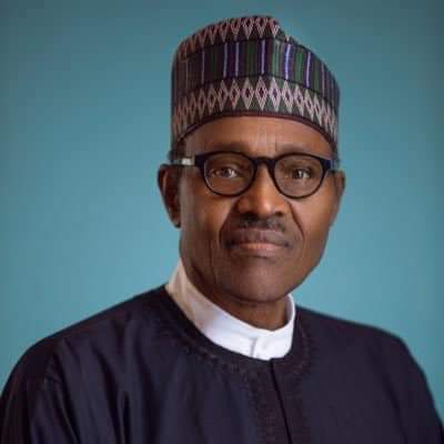 Nigerian Govt Approves Over N8bn For Work At Farin Waterfalls as Buhari Chairs Third Virtual Meeting