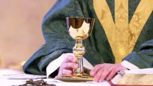Daily Mass Reading and Prayers 31 December 2021 | New Year Eve