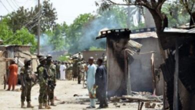 Amnesty International Reveals 10 Women Missing After Boko Haram Killed 43 in Borno