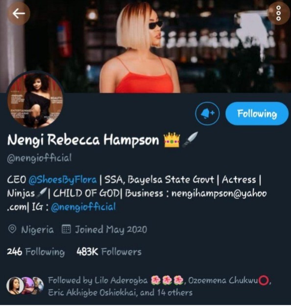 Nengi’s Verification Badge on Twitter Removed As Ninjas React