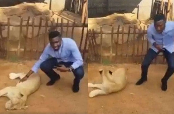 Timi Dakolo Runs Away From Photo Session As Lion Scares Him