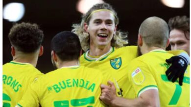Norwich City May Return to Premier League, If...