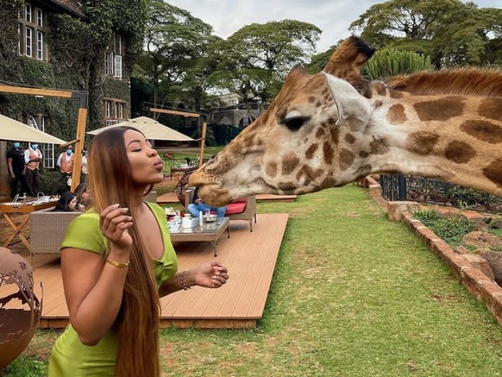 Erica Shares Pictures of Blowing a Kiss With Giraffe in Kenya