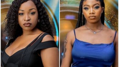 BBNaija Jackie B Calls Angel a Thief, Find out Why [Video]