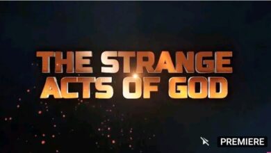 Saturday 25 November 2023 - NSPPD Live Testimonies Strange Acts of God | Jerry Eze