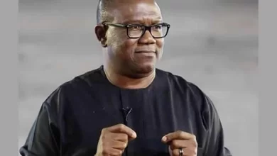 Peter Obi Will Be Gauge With World Best Leaders, Says Social Critic Yesufu