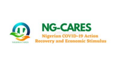 NG-CARES Project Set-up for Alleviation of Poverty in Nigeria
