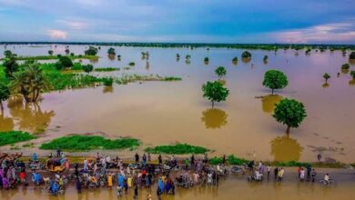 Quick Facts About Cameroon's Lagdo Dam Causing Floods in Nigeria