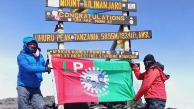 'Obidient' Plants Labour Party's Flag on Mount Kilimanjaro || Photo
