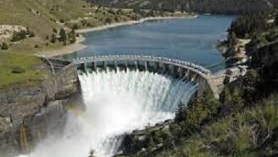 Lagdo Dam: Cameroonian Government Informs FG of Opening