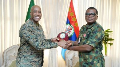 U.S. Africa Command Head Advances U.S.-Nigeria Cooperation 