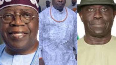 PAP: Jubilation in Niger-Delta as Tinubu Sack Ndiomu, Appoints Otuaro