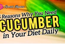 5 Reason Why You Need Cucumber in Your Diet Daily