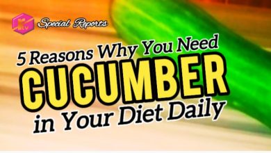 5 Reason Why You Need Cucumber in Your Diet Daily