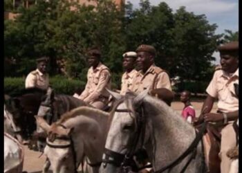 Retired NIS officers kick against Nigeria Certified Immigration Agents (NCIA) Scheme established by Ministry of Interior Retired NIS officers kick against Nigeria Certified Immigration Agents (NCIA) Scheme established by Ministry of Interior