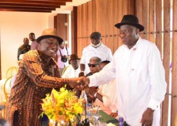 Goodluck Jonathan and the Momentum of 2027 by Professor Steve Azaiki Goodluck Jonathan and the Momentum of 2027 by Professor Steve Azaiki