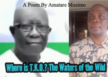 Where is T.K.O.? The Waters of the Wild by Mozimo Amatare