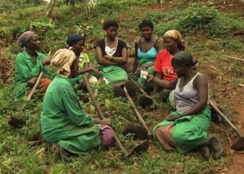 Centre LSD Hosts Strategic Leadership & Cooperative Management Training for WIFE Coordinators Centre LSD Hosts Strategic Leadership & Cooperative Management Training for WIFE Coordinators