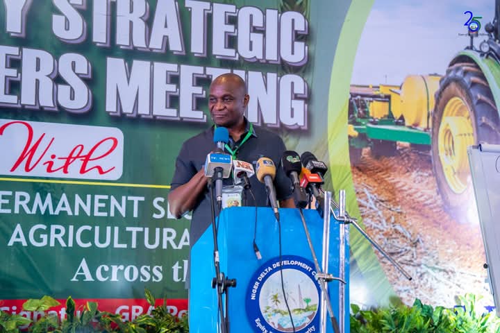 NDDC Demands Retraction, Apology From Punch