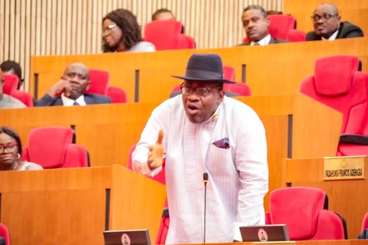 Insecurity: Let's Tell President Tinubu the Truth, Not Commendation