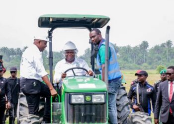 Increase Rice Production, Gov Diri Orders Agric Commissioner