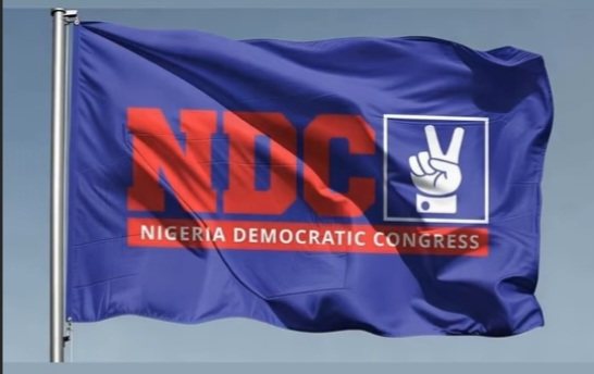 NDC Faults Primate Ayodele Over Comment On Party