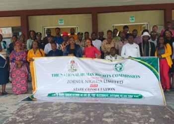 NHRCh Rallies Stakeholders On National Action Plan To Strengthen Human Rights Protection