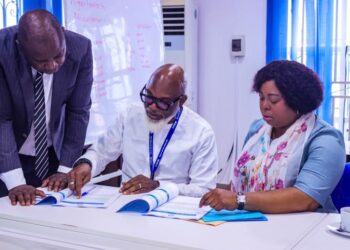Bayelsa Issues First Electricity Distribution Licence To BYEDC
