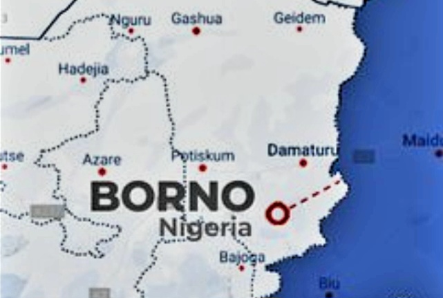 Police Arrest 9-Year-Old Over Fatal House Fire in Yobe