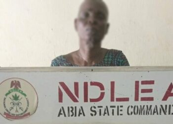 NDLEA Rearrests 83-Year-Old Woman Over Alleged Drug Trafficking
