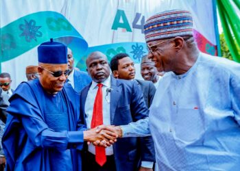 2027: Shettima Fears APC Internal Divisions More Than Atiku, Obi