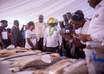 Diri Highlights Agricultural Partnerships, Urges Youths to Embrace Farming
