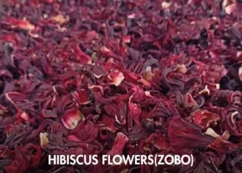 Nigeria’s ‘Zobo’ Flowers Finding Their Way Into Global Markets