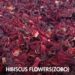Nigeria’s ‘Zobo’ Flowers Finding Their Way Into Global Markets Nigeria’s ‘Zobo’ Flowers Finding Their Way Into Global Markets